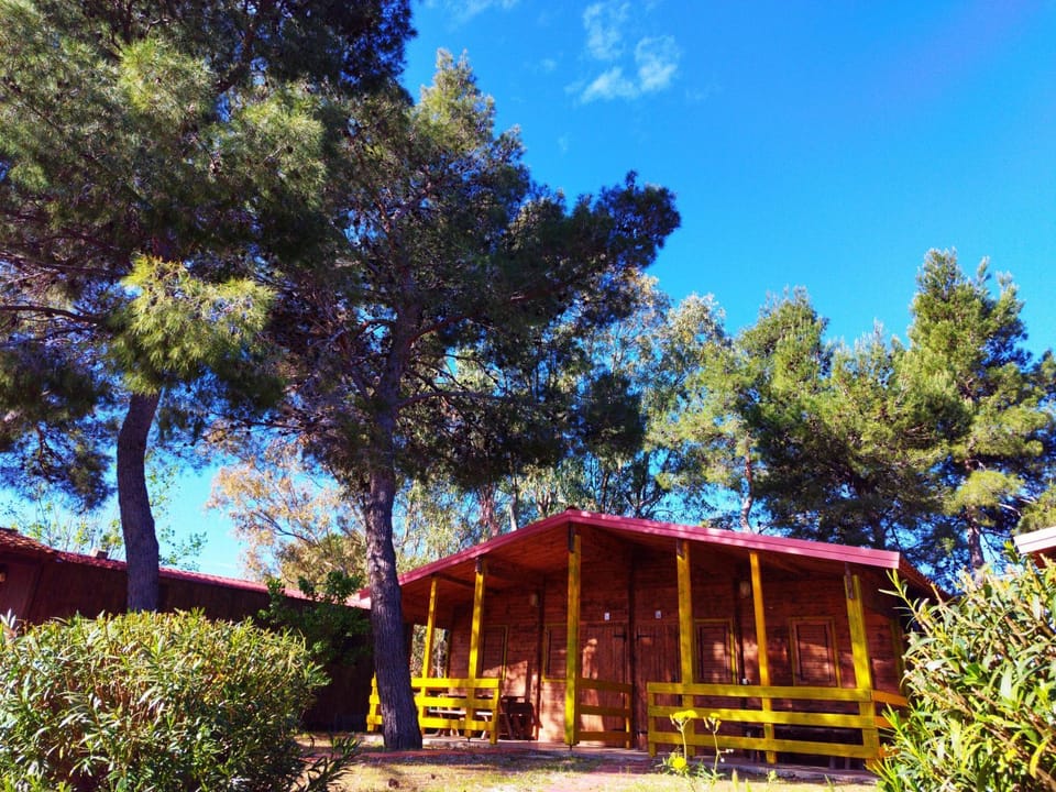 Property building, Spring, Day, Natural landscape, Garden, Garden view