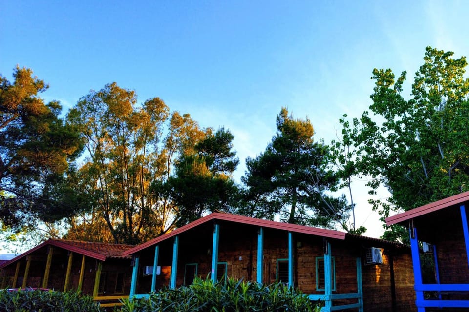 Property building, Spring, Day, Natural landscape, Garden, Garden view