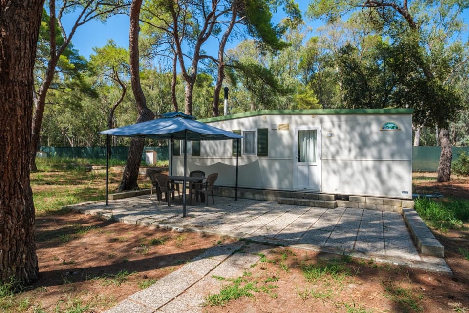 Property building, Patio, Spring, Day, Natural landscape, Garden, Garden view