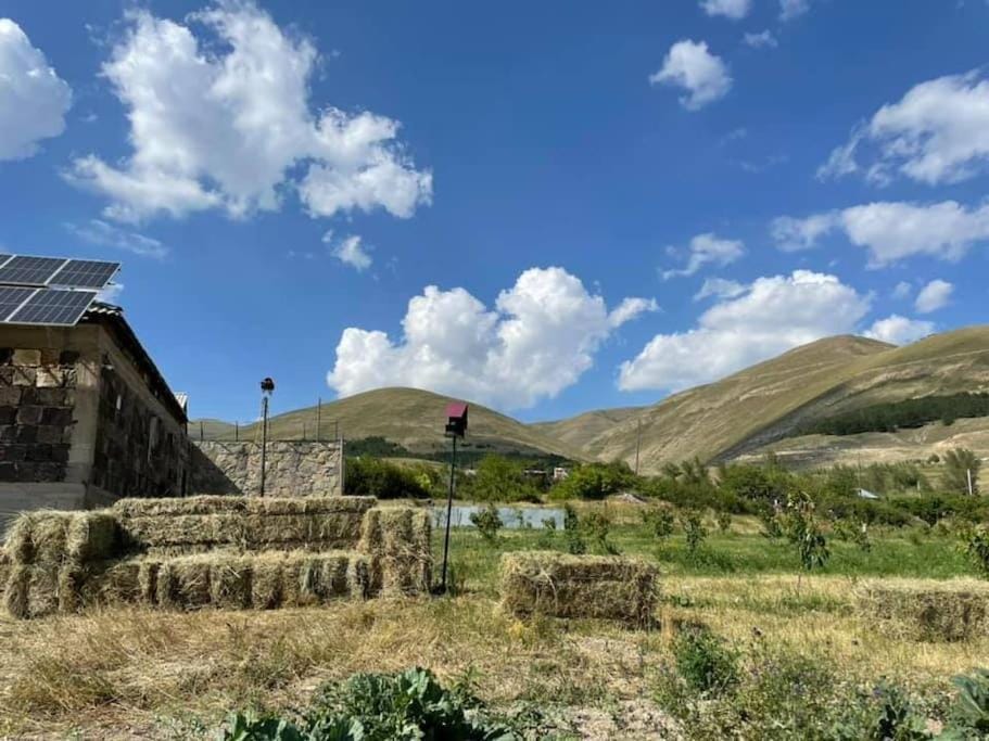 Natural landscape, Garden, Mountain view