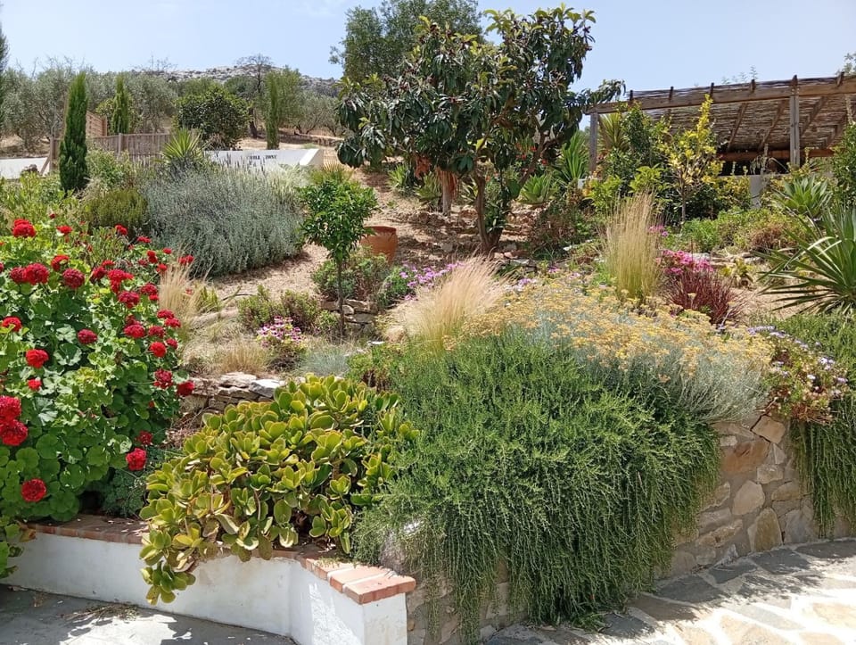Finca Altozano - Private pool Bed and Breakfast in Valle del Guadalhorce