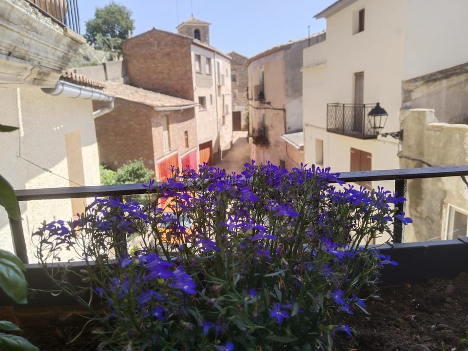 CAL BENAIGES Apartment in Catalonia
