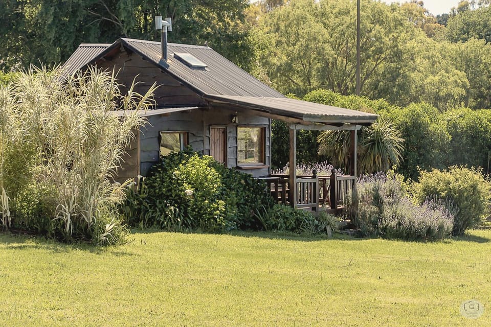 Cabañas del Vuulcan Nature lodge in Buenos Aires Province