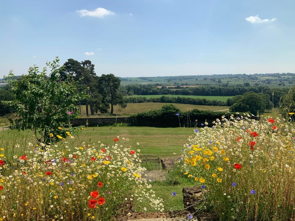 Spring, Natural landscape, Garden, View (from property/room), Garden view