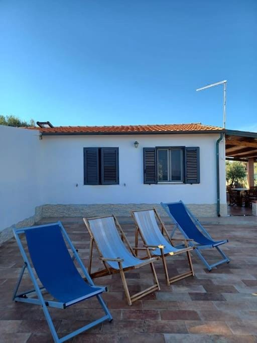 Patio, sunbed