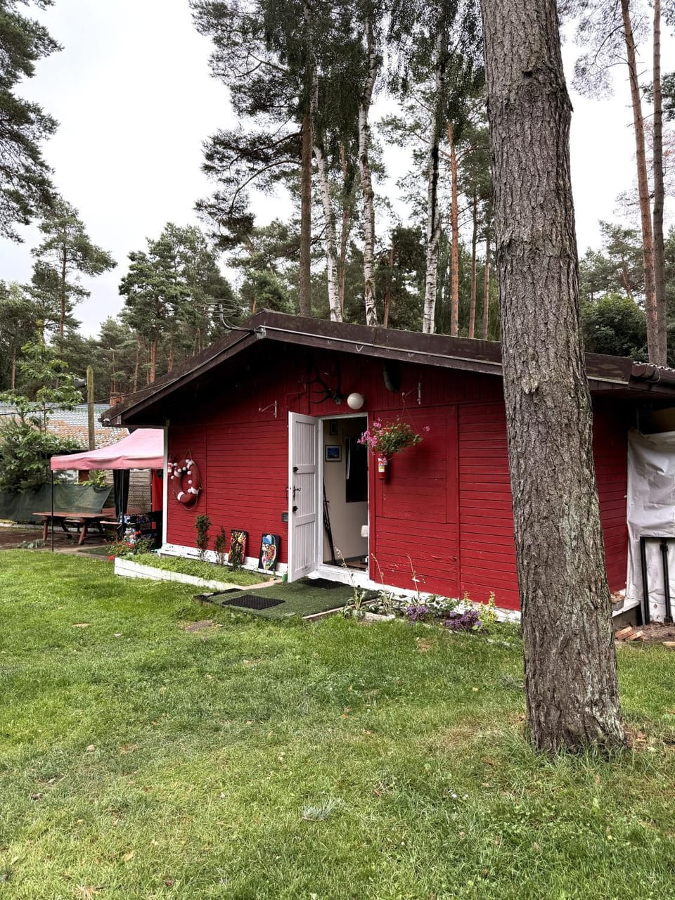 Property building, Natural landscape