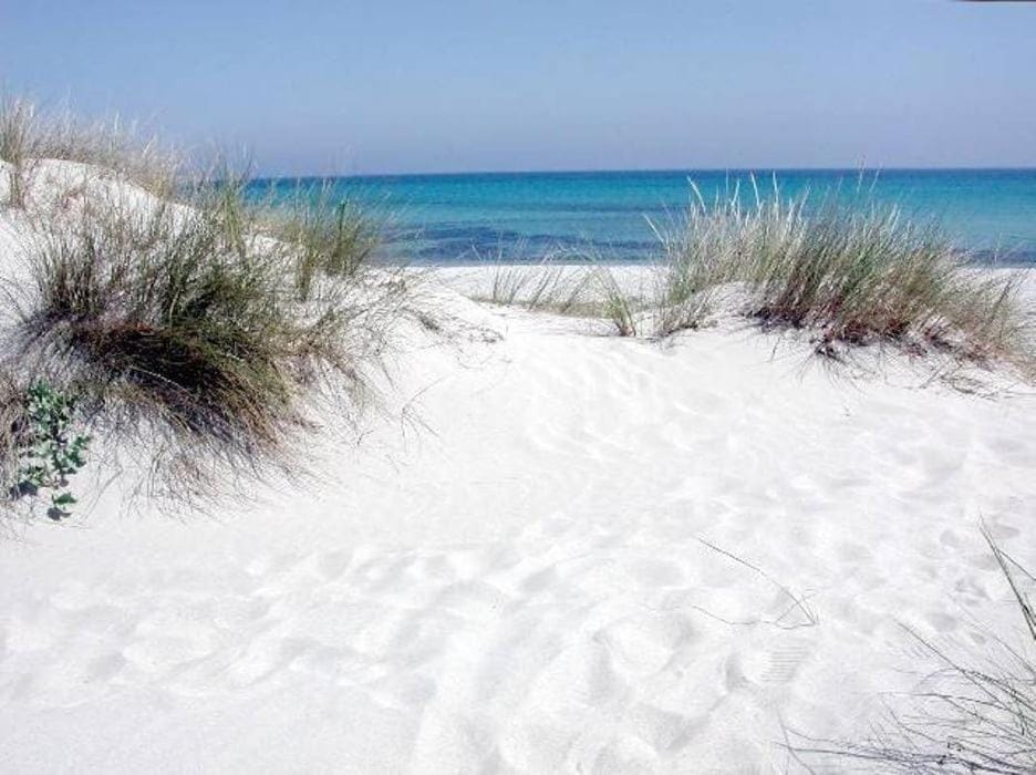 Nearby landmark, Beach