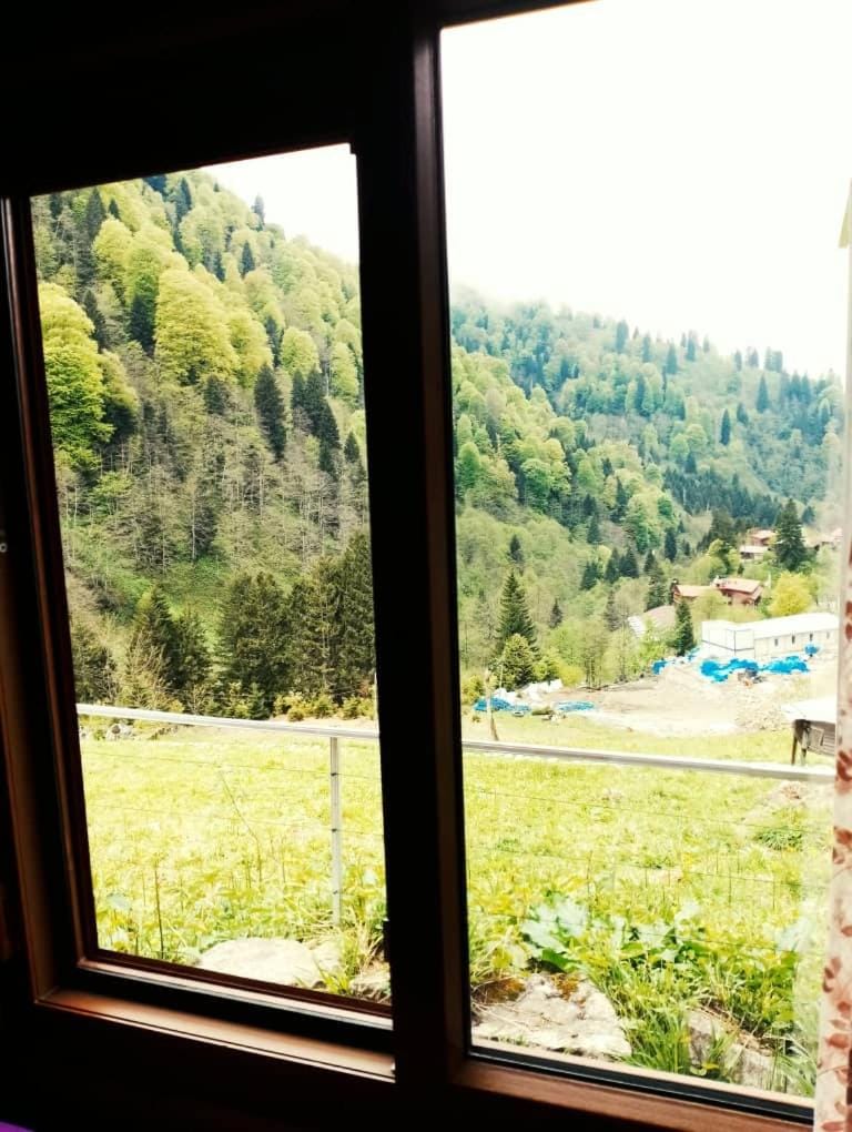 Ayder Rainbow Gokkusagi Apartment in Turkey