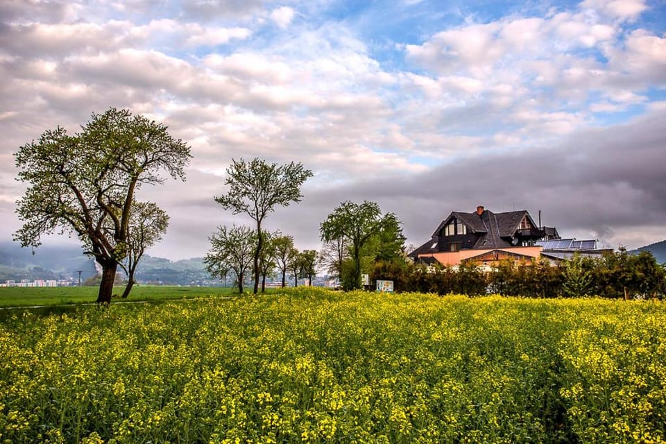 Vila Fenix B&B Bed and Breakfast in Slovakia