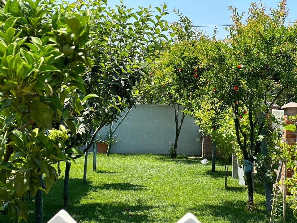 Day, Natural landscape, Garden, Garden view