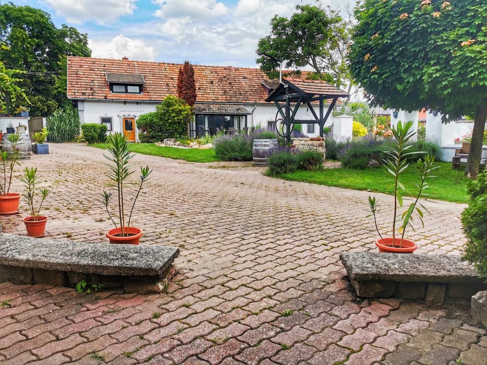 Vidéki Ház Apartment in Hungary