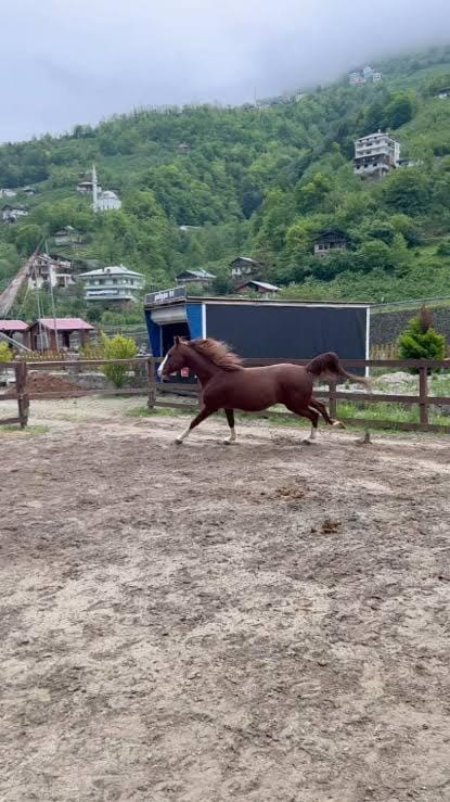 Horse-riding