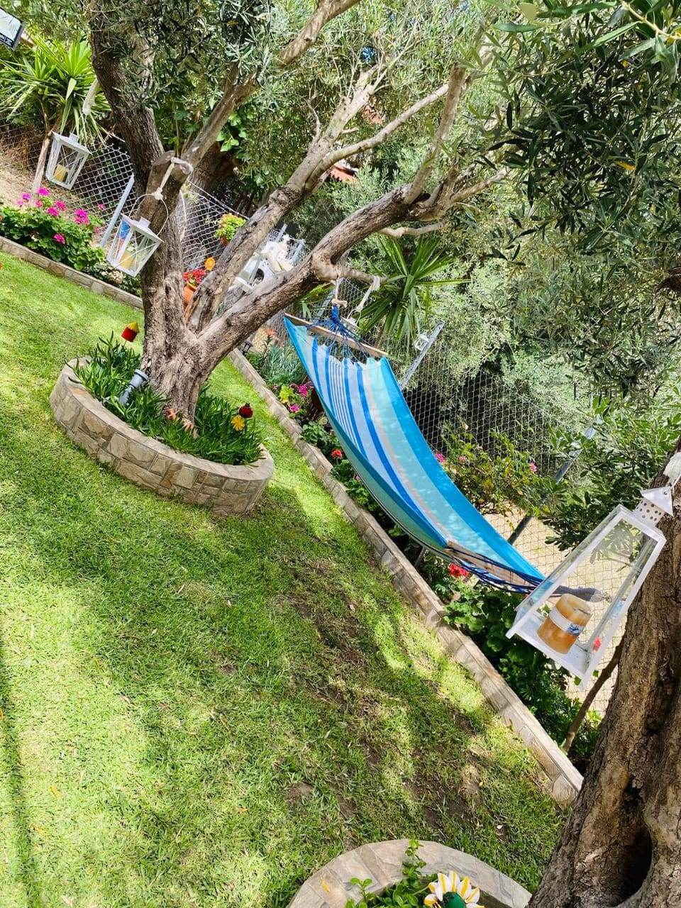 Spring, Day, Natural landscape, Garden, Garden view