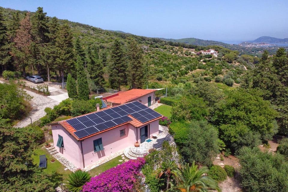 Bird's eye view, Garden, Sea view