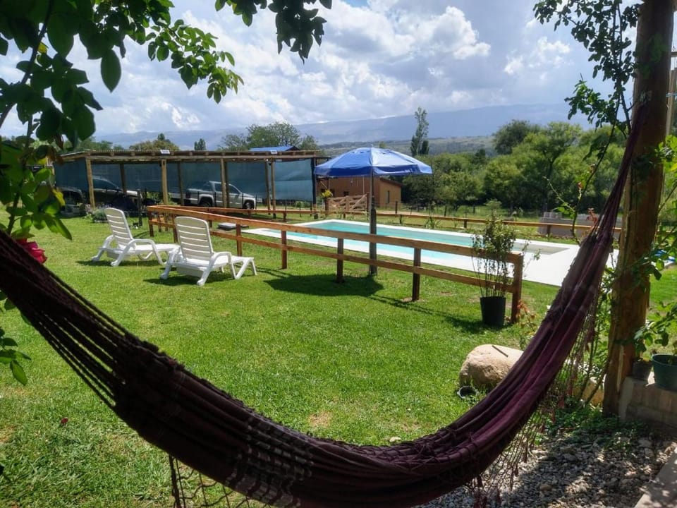 Natural landscape, Garden, Pool view, sunbed