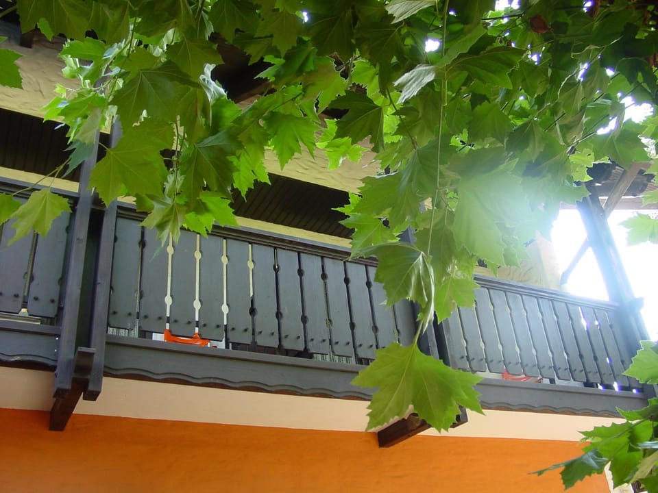 Balcony/Terrace, Garden view, Internal: Not applicable to any particular room