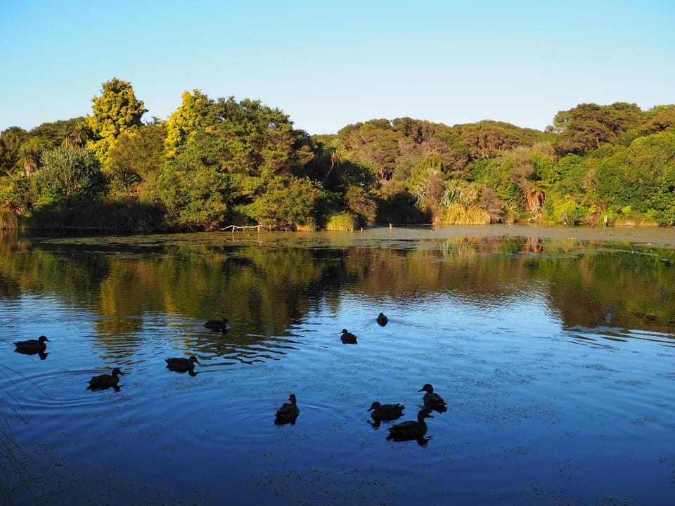 Natural landscape, Lake view