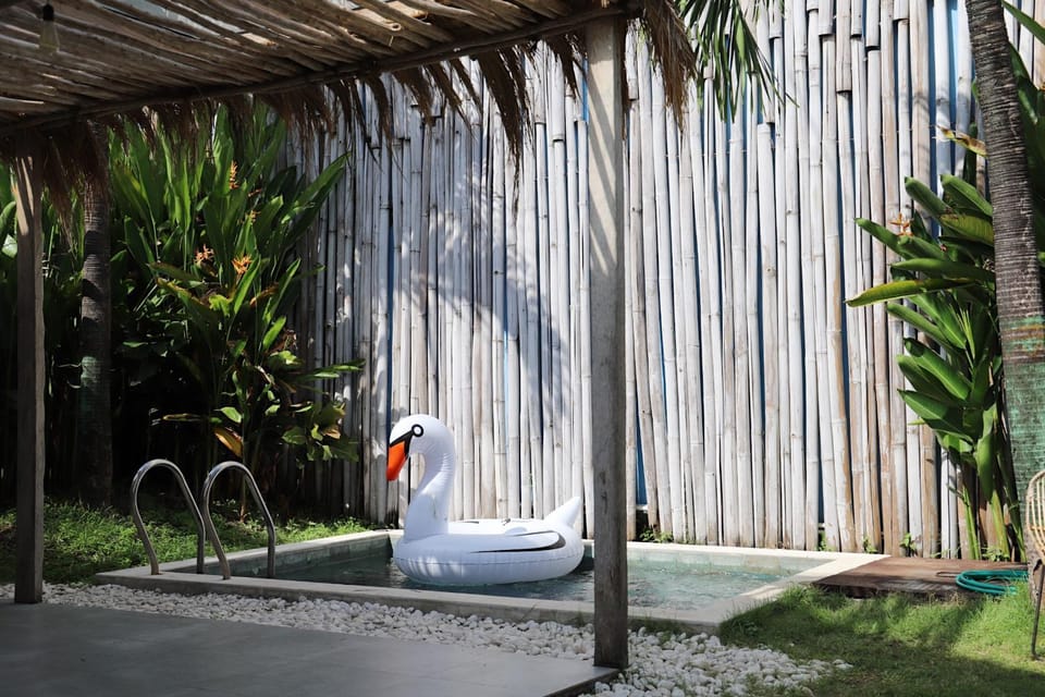 Day, Garden, Decorative detail, Pool view, Swimming pool