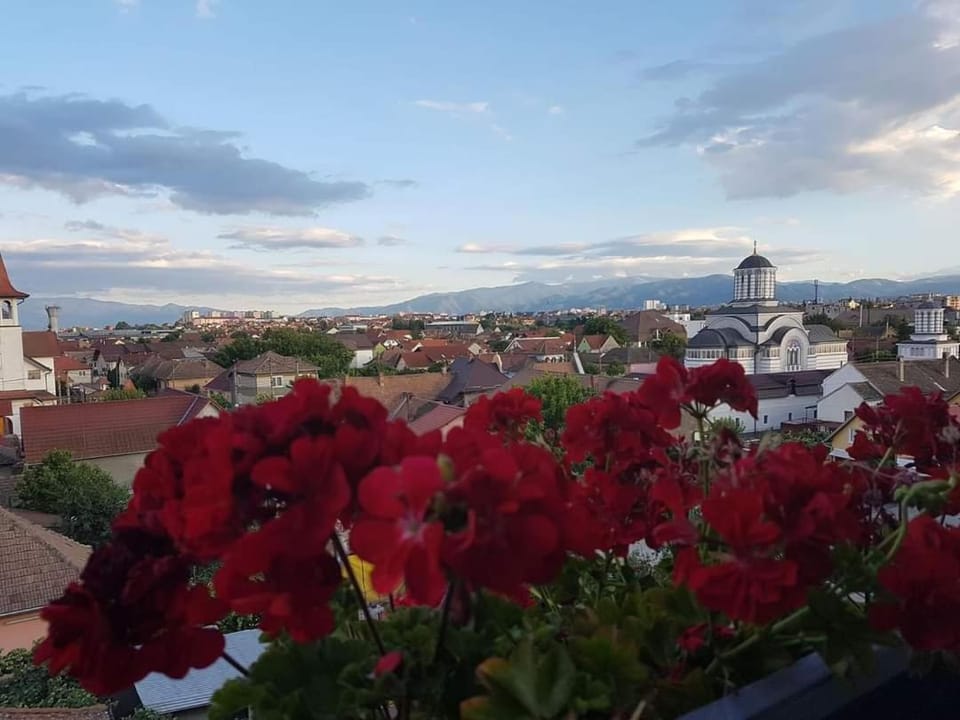 Day, Natural landscape, City view, Mountain view