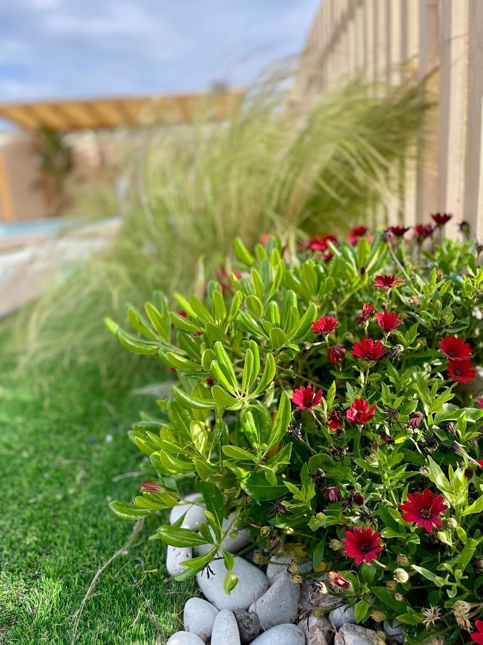 Sunny Villa Elia House in Crete
