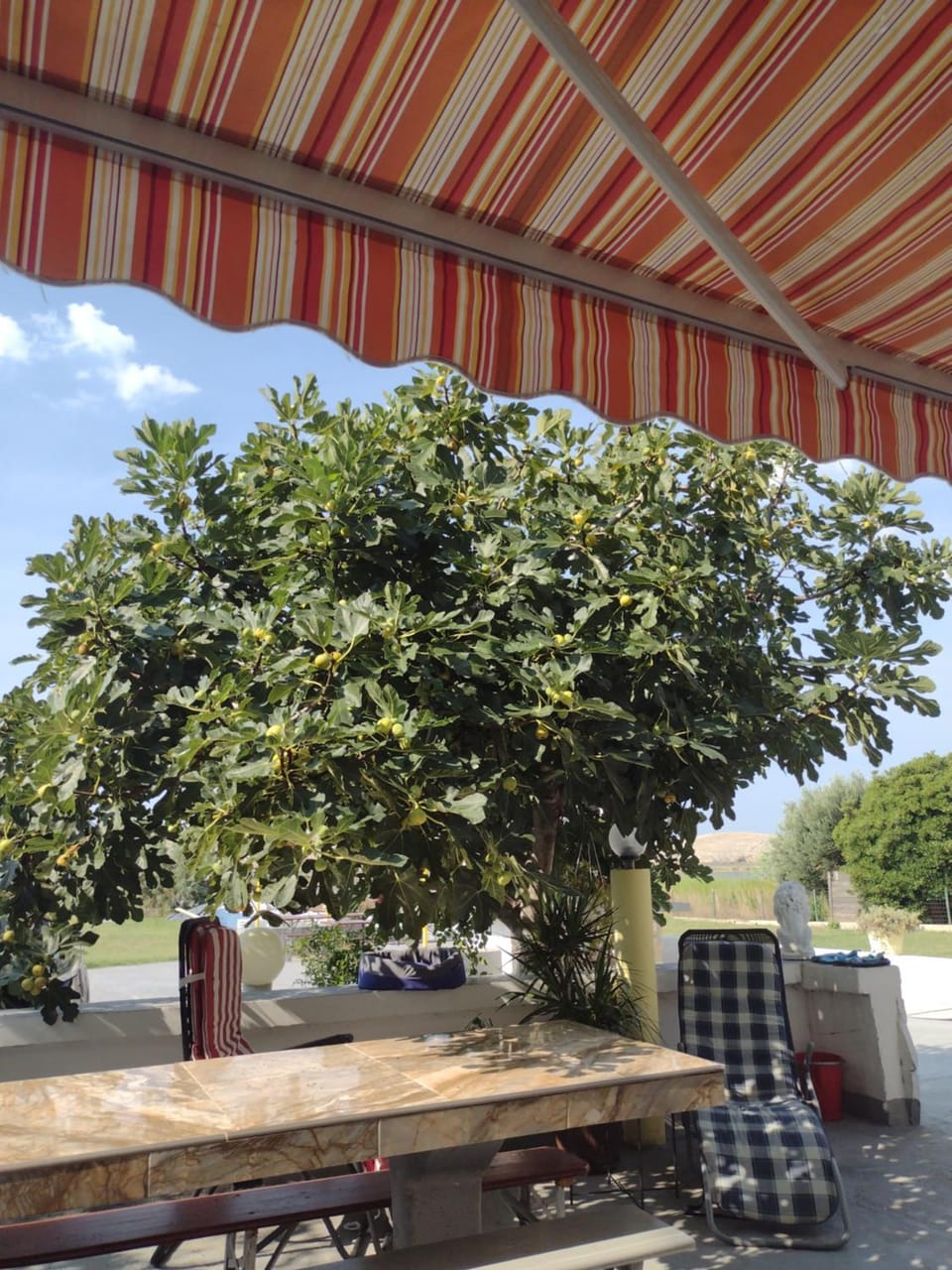 APARTMANI ALEN Apartment in Zadar County