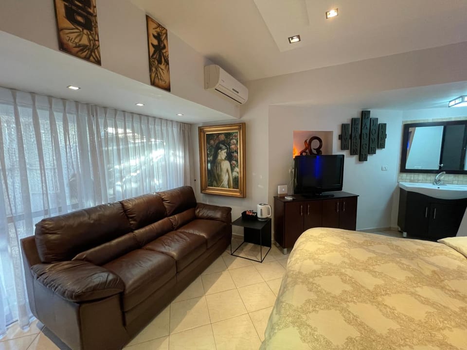 TV and multimedia, Living room, Seating area, air conditioner