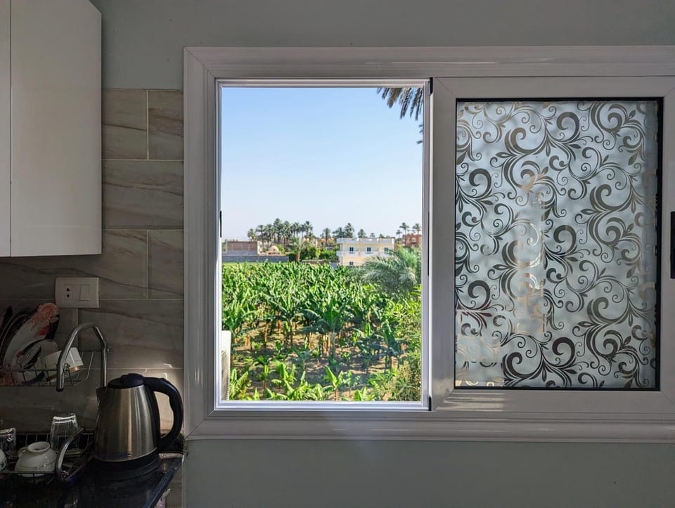 Villa Rebecca Apartment in Luxor