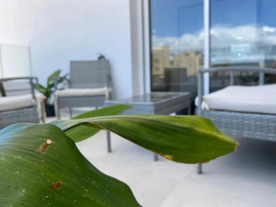 Balcony/Terrace, Balcony/Terrace