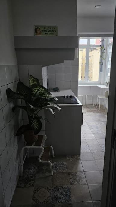 Kitchen or kitchenette, kitchen