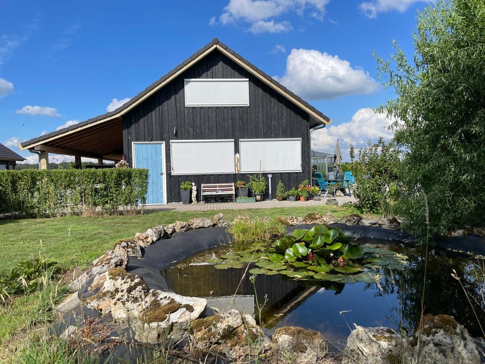 Property building, Garden, Garden view