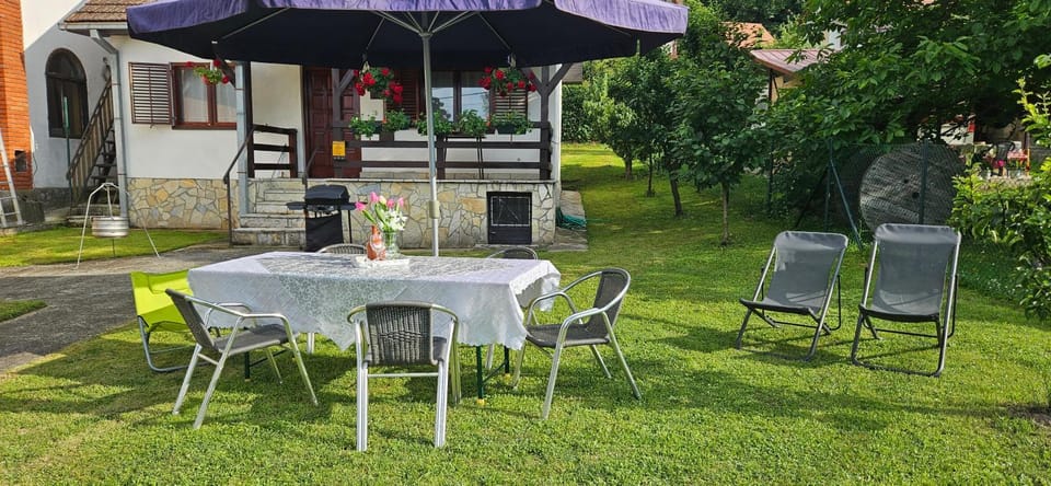 Vila Lena Banja Vrujci Apartment in Serbia