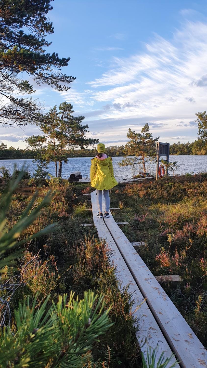 Day, Natural landscape, Hiking, Lake view