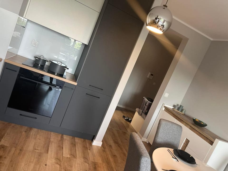 Apartament Nowoczesny w Centrum Torunia/podziemny parking i winda Apartment in Greater Poland Voivodeship