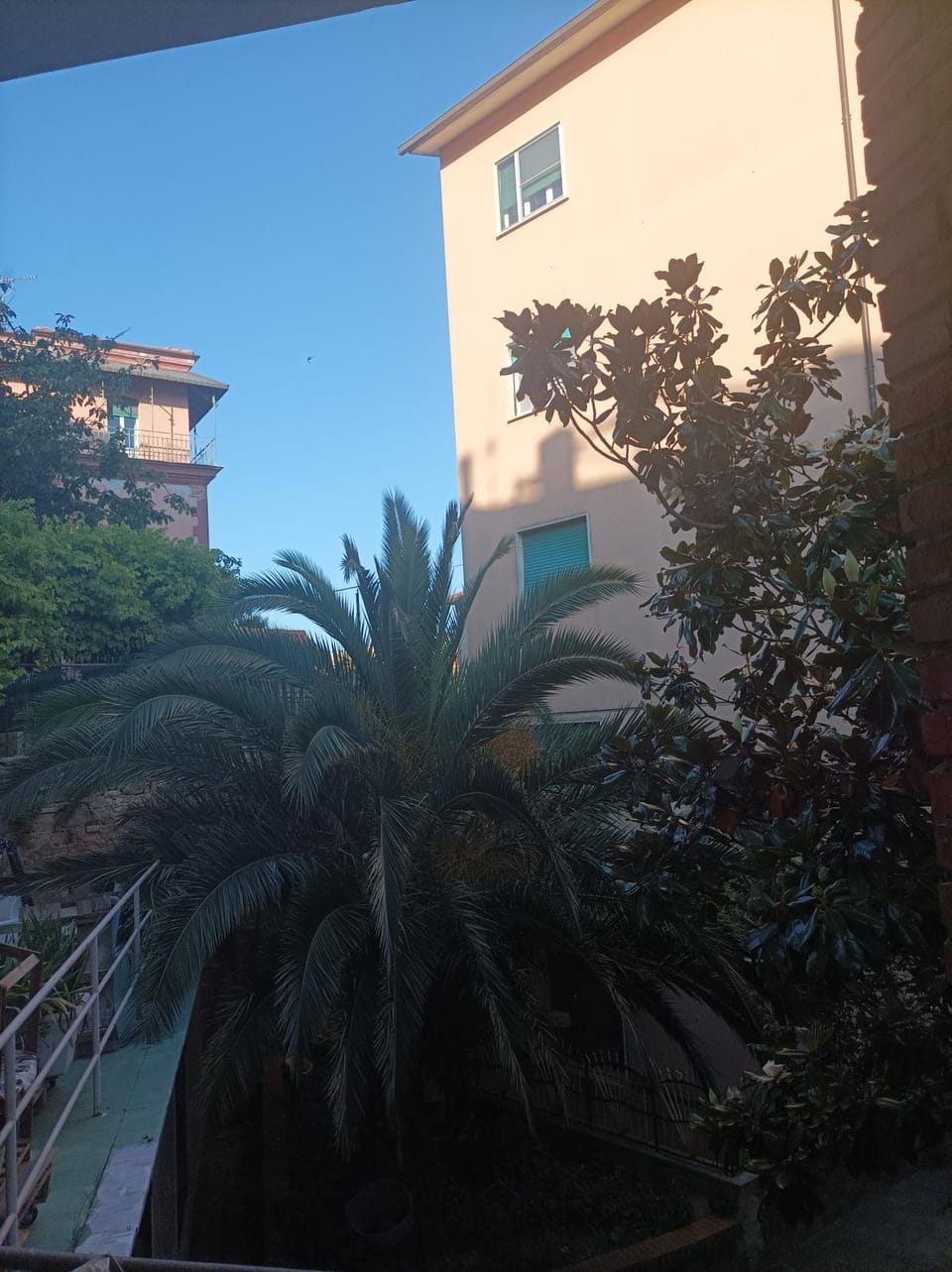 Day, Garden, Garden view