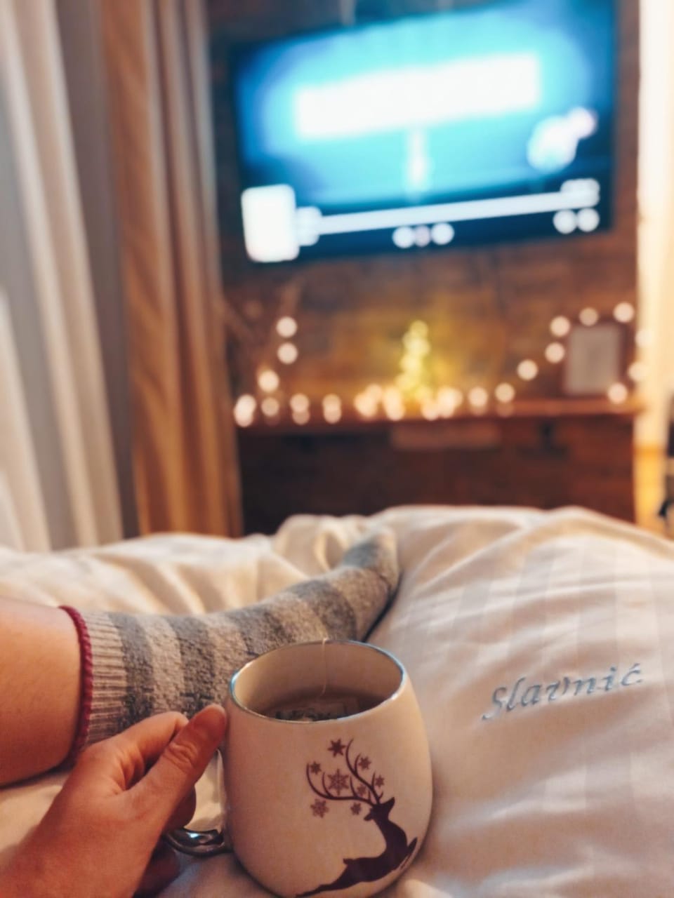 Apartman Kamelija Apartment in Zlatibor