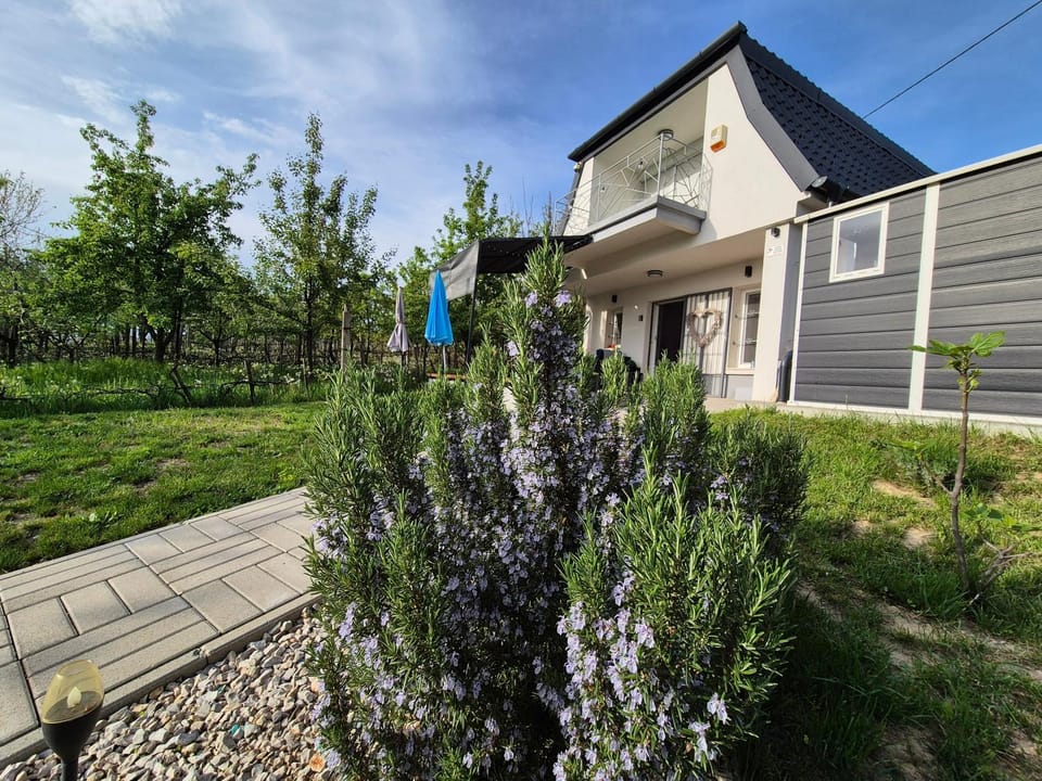 Várta-Lak Panoráma Présház Vendégház House in Hungary