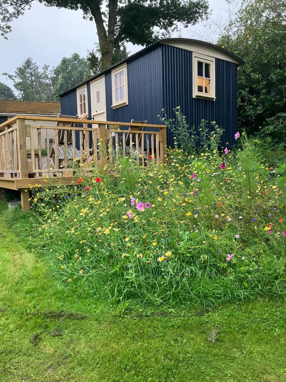 annes hatch hut Luxury tent in Chichester District