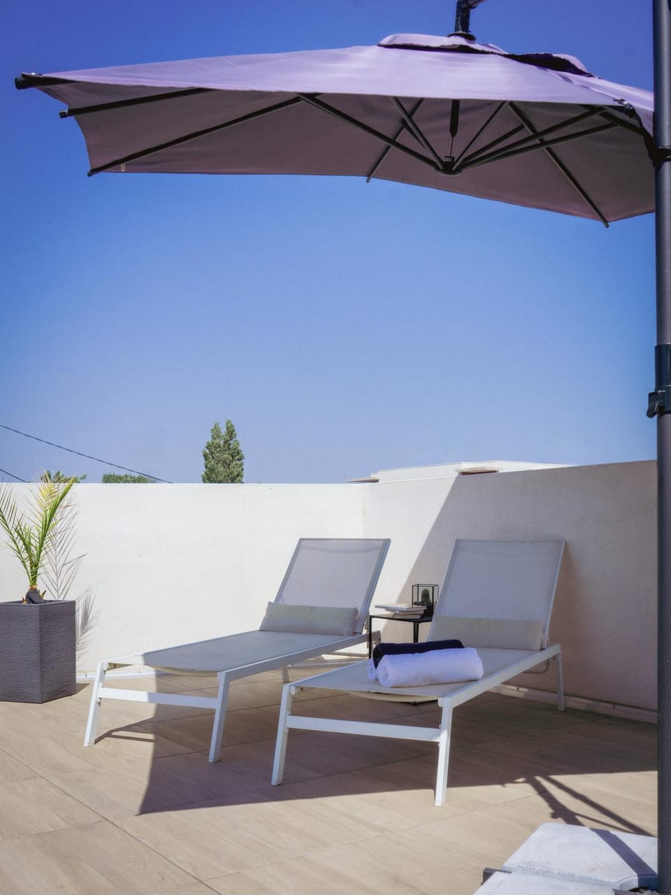 Patio, sunbed