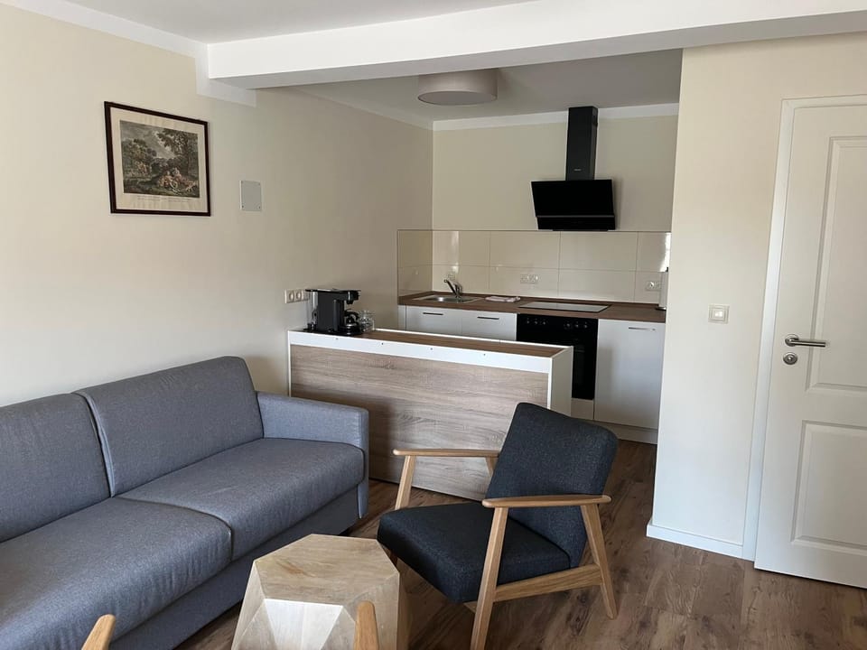 Kitchen or kitchenette, Living room, pet friendly, stove