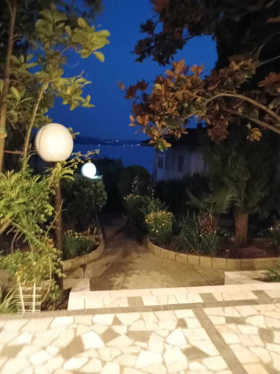 Night, Garden view