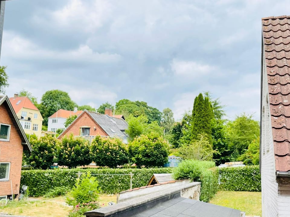 Spring, Day, Natural landscape, Garden, Garden view