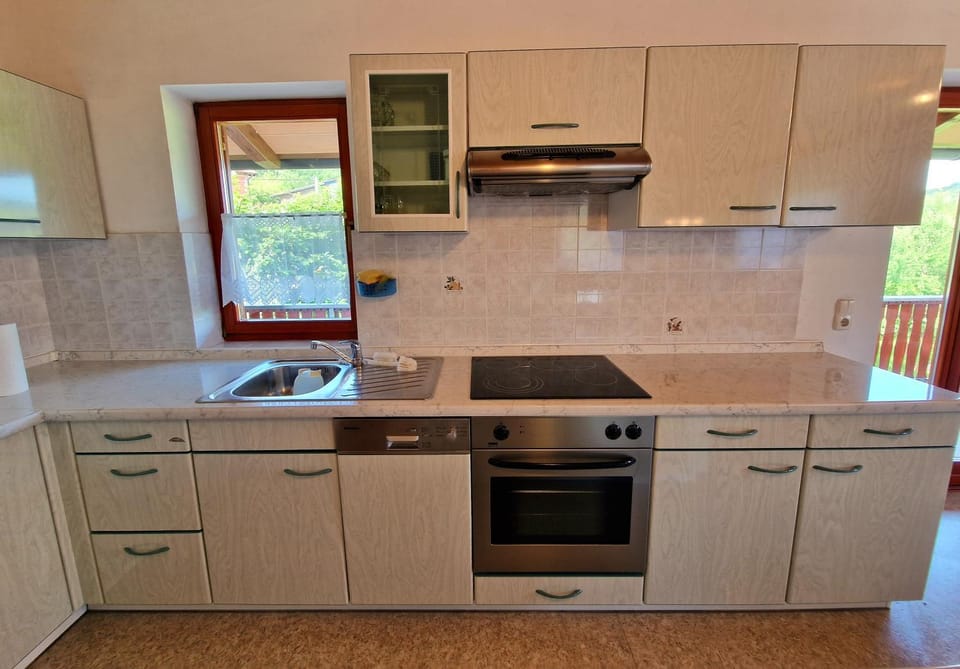 Kitchen or kitchenette, dishwasher, pet friendly, stove