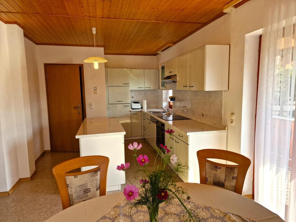 Kitchen or kitchenette, minibar, pet friendly, stove