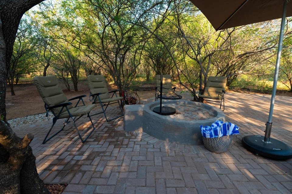 Garden, Garden view, Swimming pool