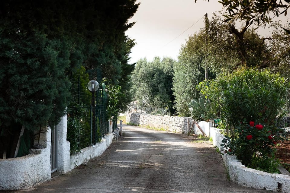 Quiet street view