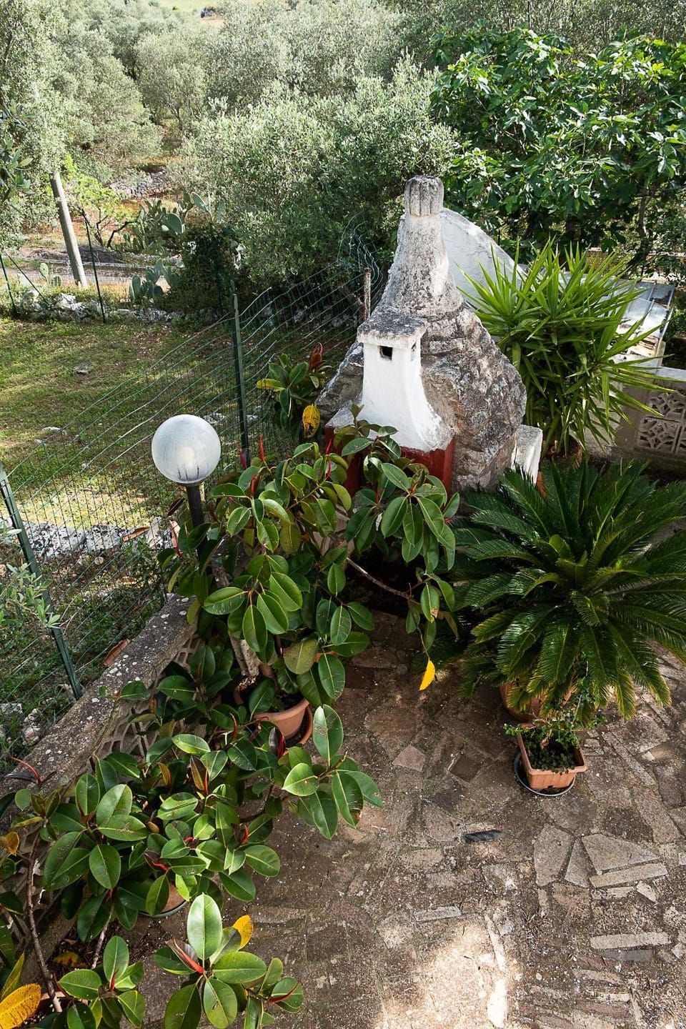 Garden view