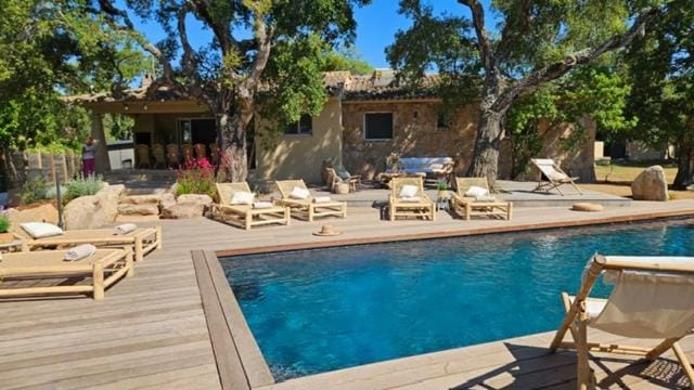 Garden, Pool view, sunbed