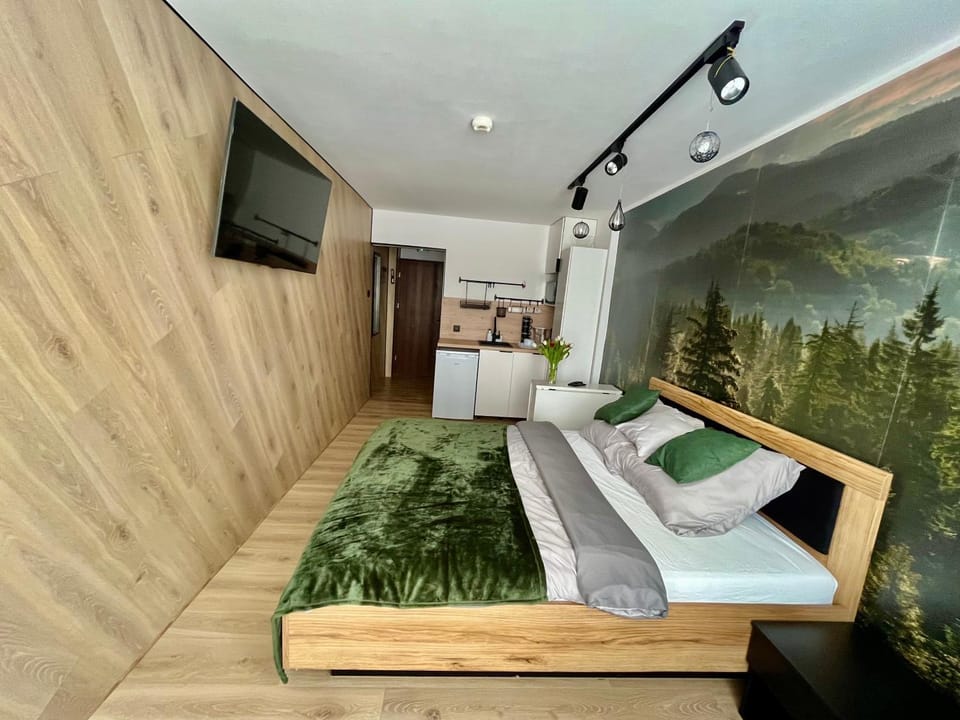 Ustroń Jaszowiec Apartament Basia Apartment in Czechia