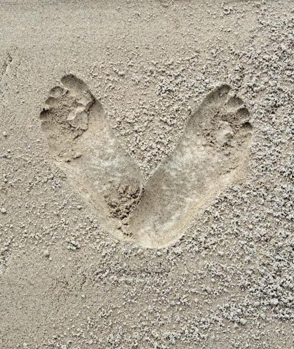 Pond Beach 2ppl-private Hot tub House in County Kilkenny