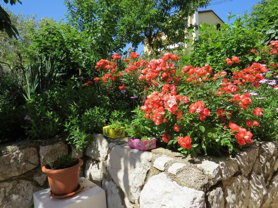 Apartment with 2 terrace Apartment in Cres